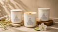 Load image into Gallery viewer, Fresh Clarity Candle
